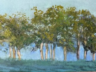 The Grove